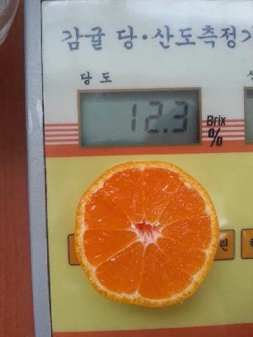 빈이네 이미지