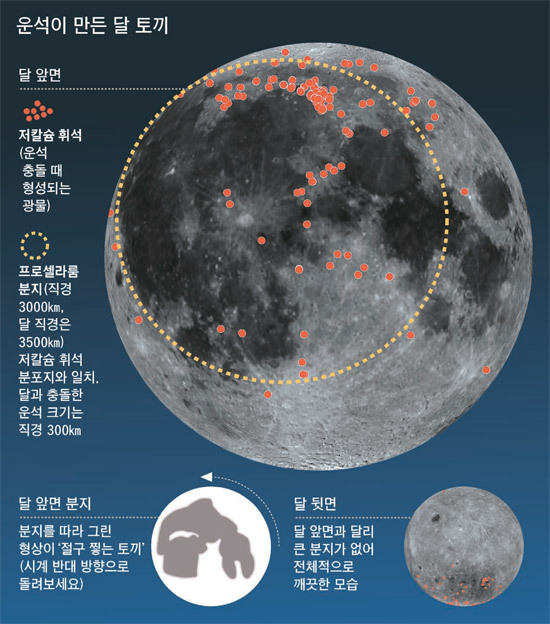 달토끼 이미지
