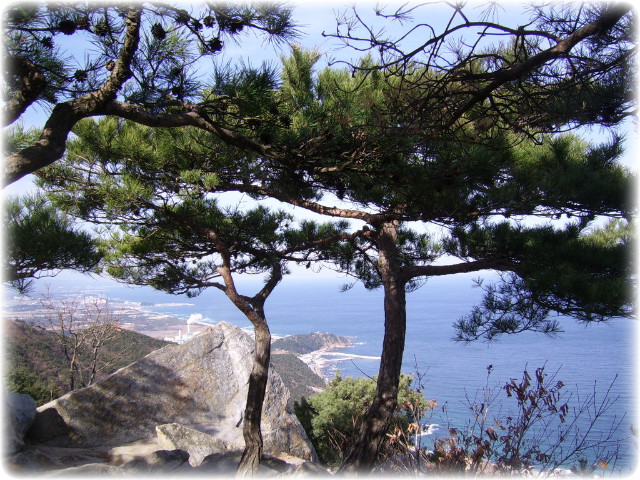 신동해(주) 이미지