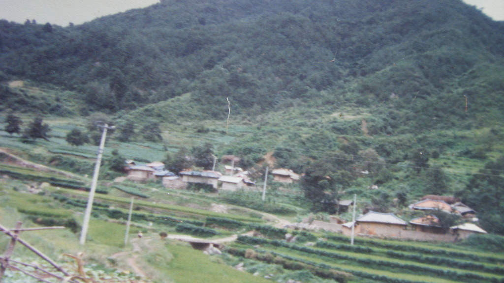 시골 이미지