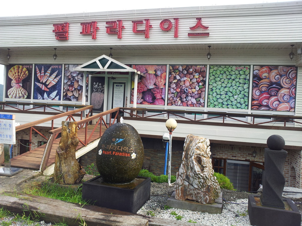 뉴파라다이스 이미지
