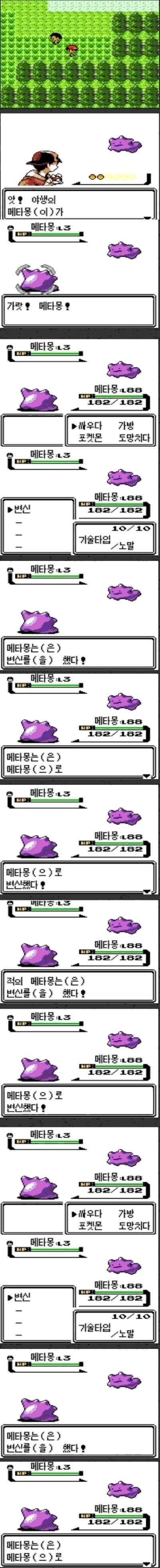 메타몽은 변신을 했다 | 인스티즈
