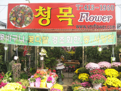 청목 이미지