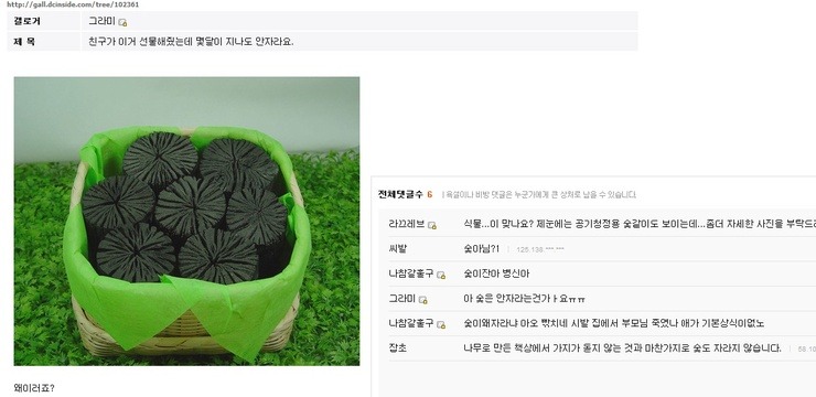 디씨 이미지