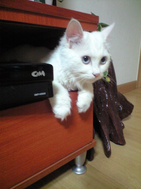 몽실네 이미지