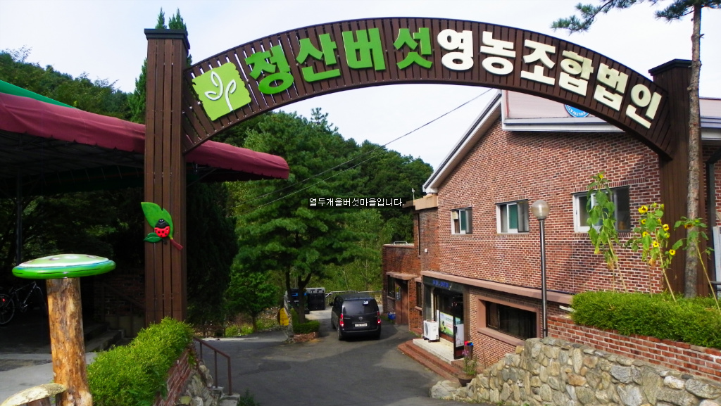 열두개울버섯마을 이미지