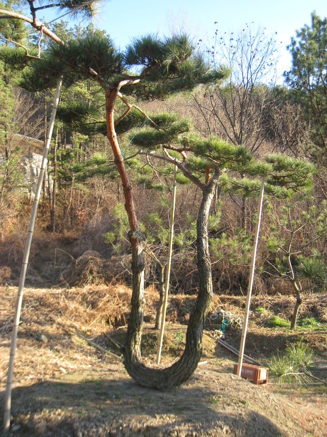 지리산농장 이미지