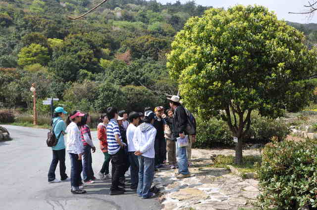 노화중앙초등학교 이미지