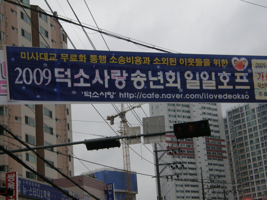 호프사랑 이미지