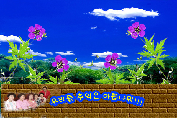 몽드림 이미지
