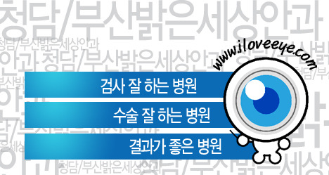 지2 이미지