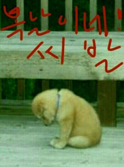 안녕하세요 이미지