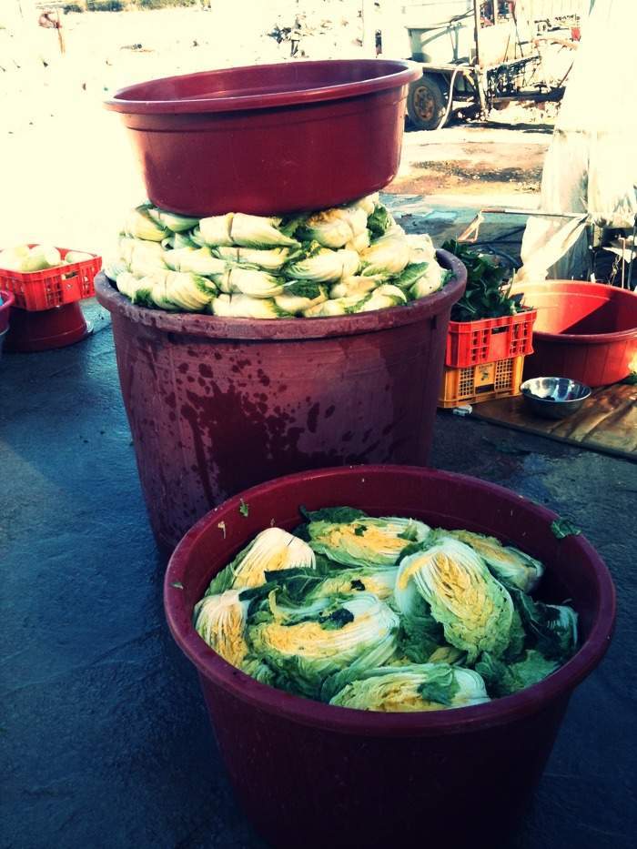  우리나라에서 점점 사라져가는 것들.jpg | 인스티즈