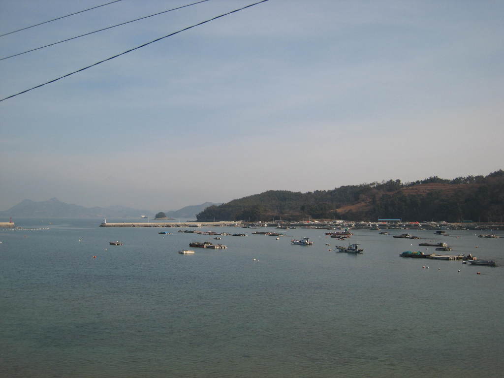 말밥 이미지