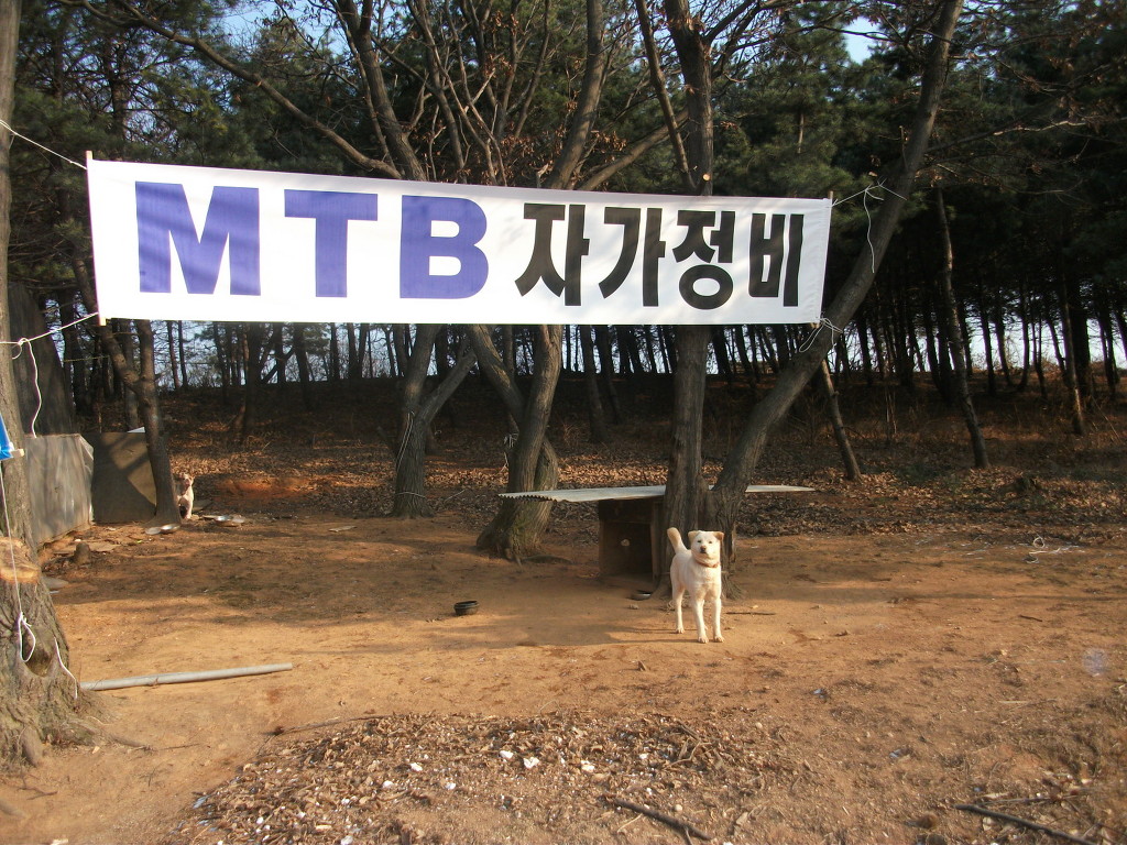 대교가든 이미지