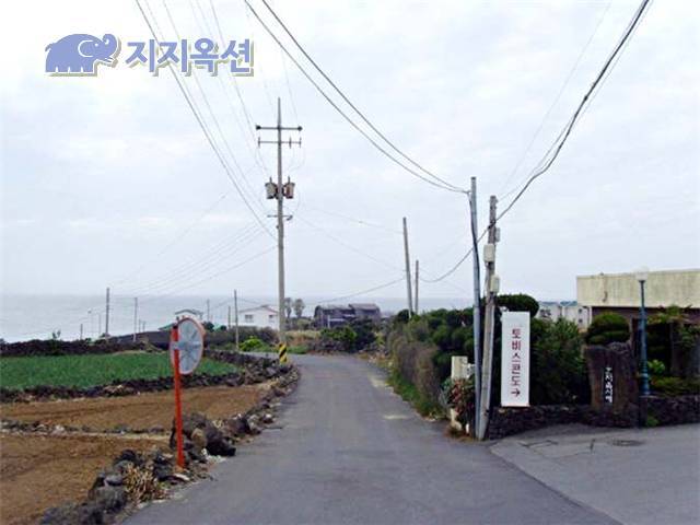 토비스알앤씨 이미지