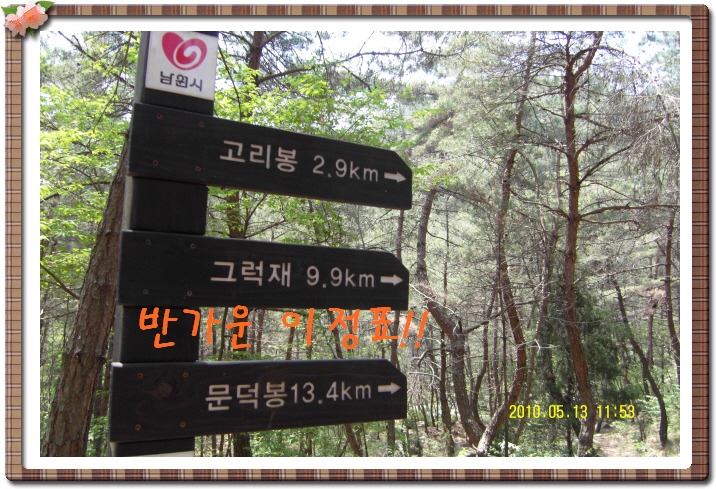 정상 정자 이미지