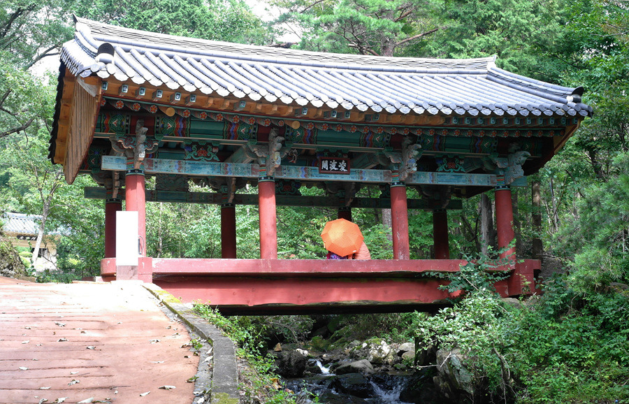 광자 이미지