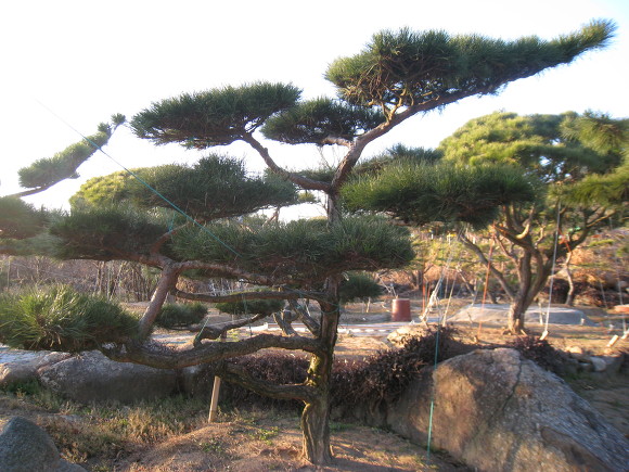 지리산농장 이미지