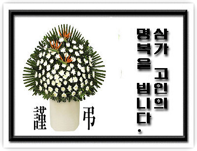 통샘 이미지