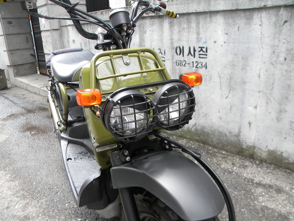 소유색 이미지