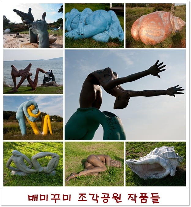 모도 이미지