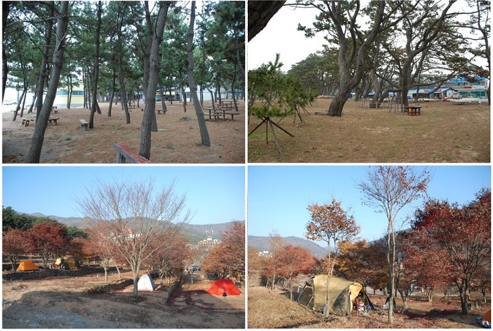 파스텔야영장 이미지