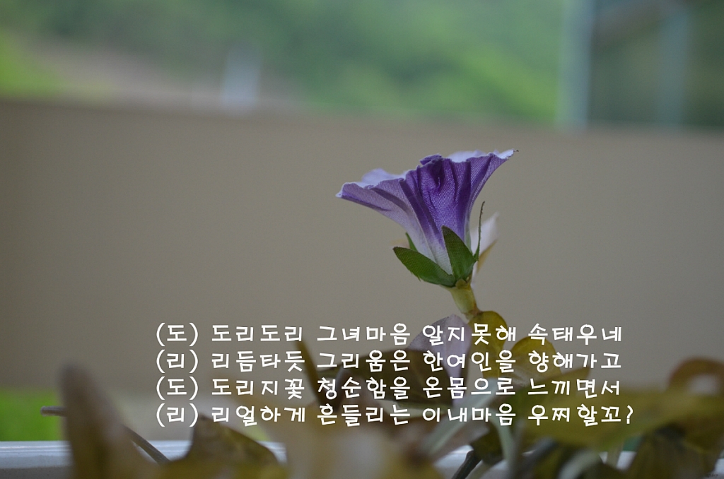 도리도리 이미지