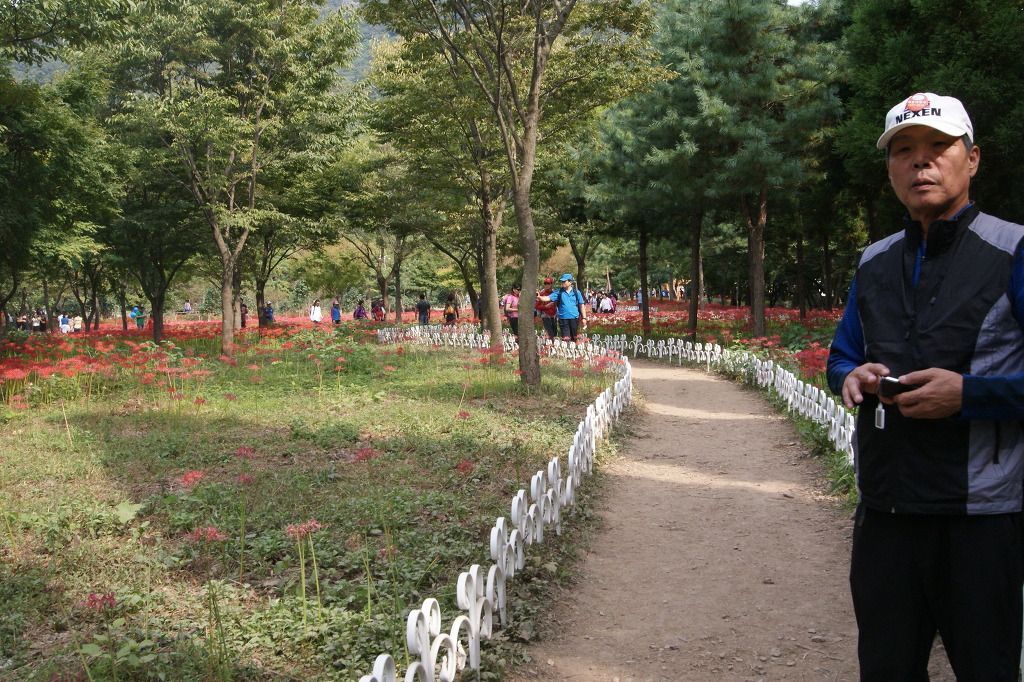 아름여행사 이미지