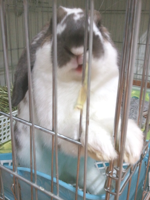 오물오물 이미지