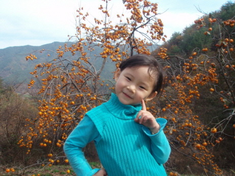 덕산곶감 이미지