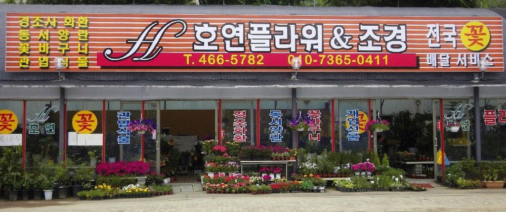 호연플라워 이미지