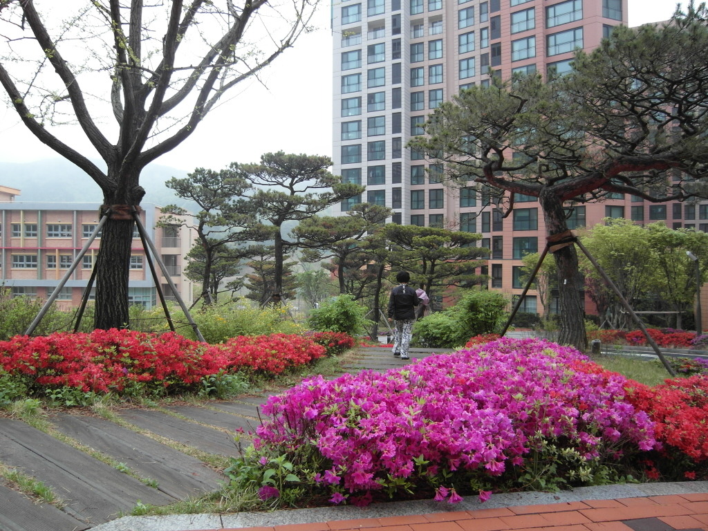 동천조경 이미지