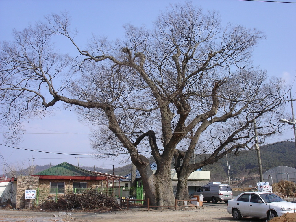 호서이용원 이미지