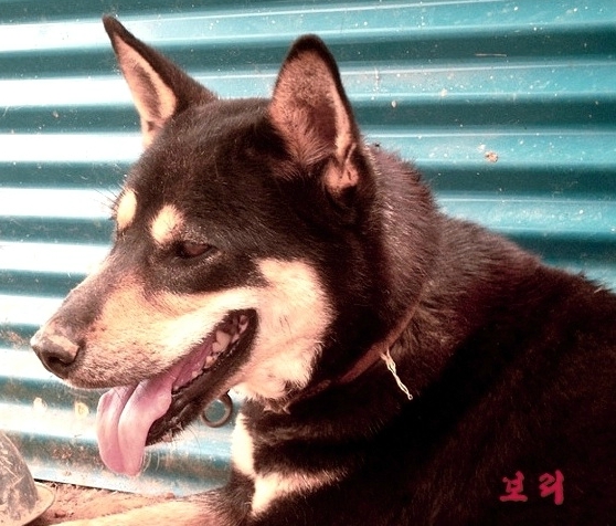 금도 이미지