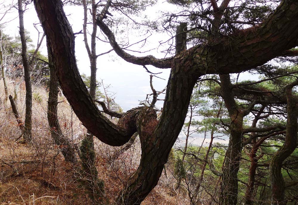 대산면(순창) 이미지