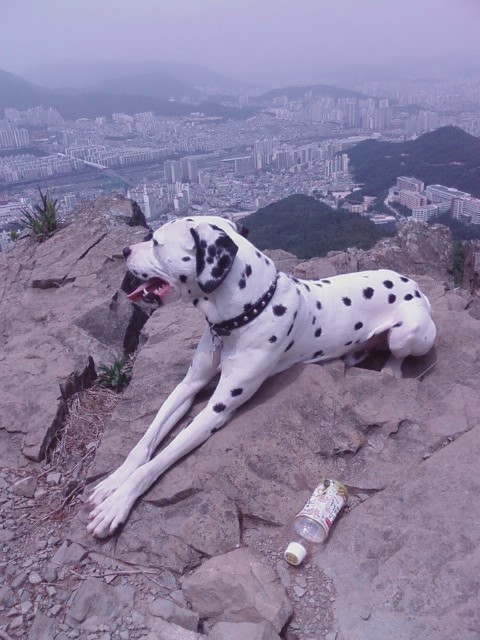해피락(주) 이미지