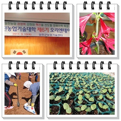 짱구농장 이미지