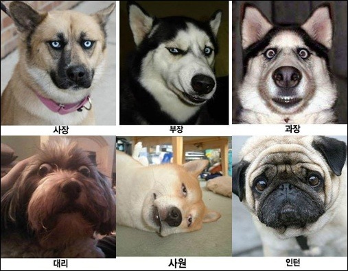 표현상사 이미지