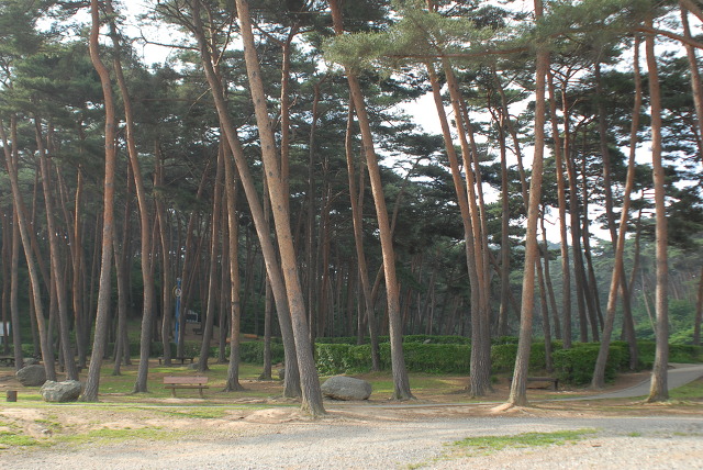 자연스케치 이미지