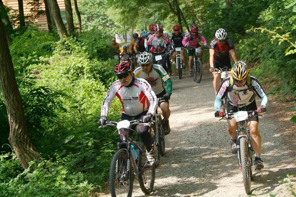 일MTB 이미지