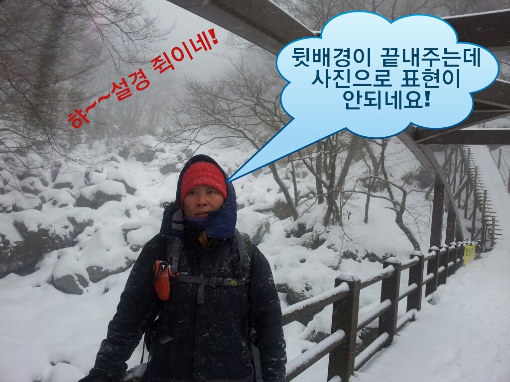 이일 이미지