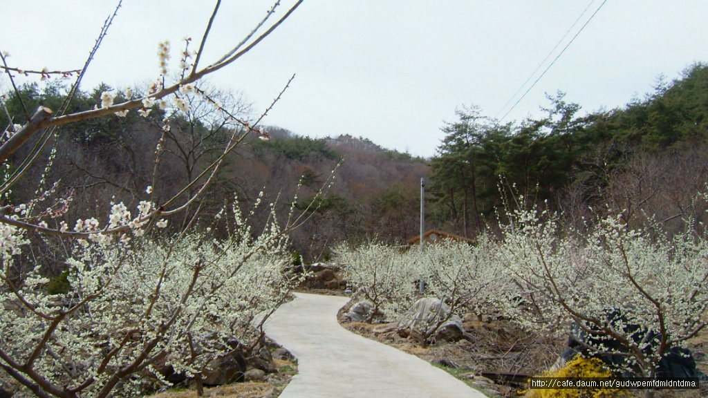 산사가는길 이미지