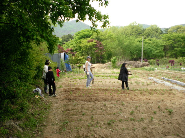 호매실초등학교 이미지