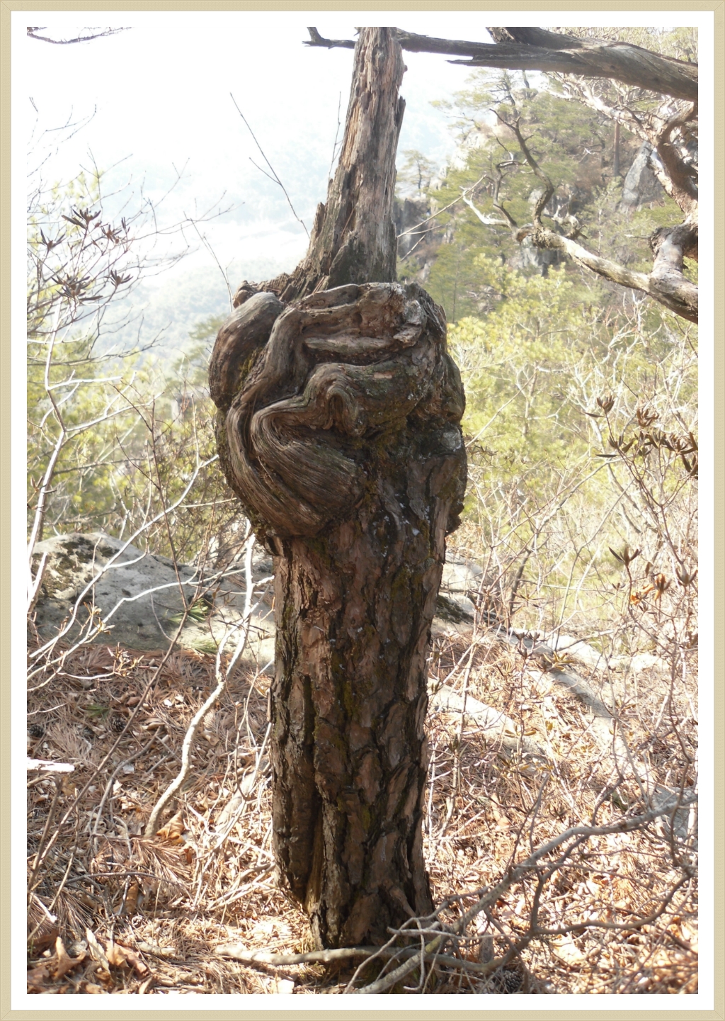푸른솔전기 이미지