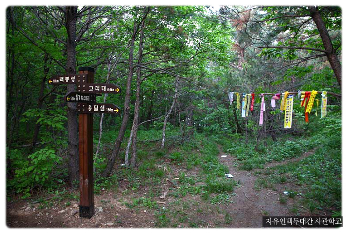 청옥주 이미지