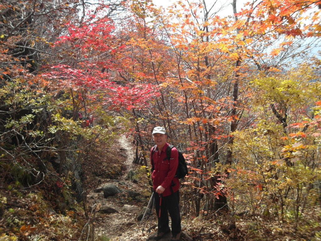 지라산 이미지