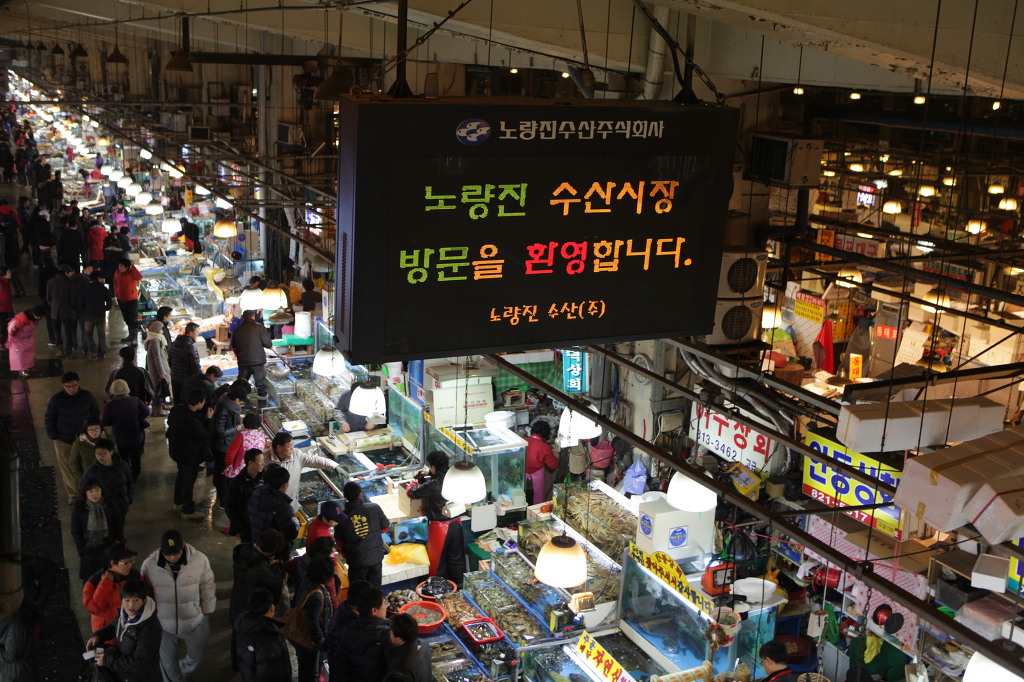한반도 수산 이미지