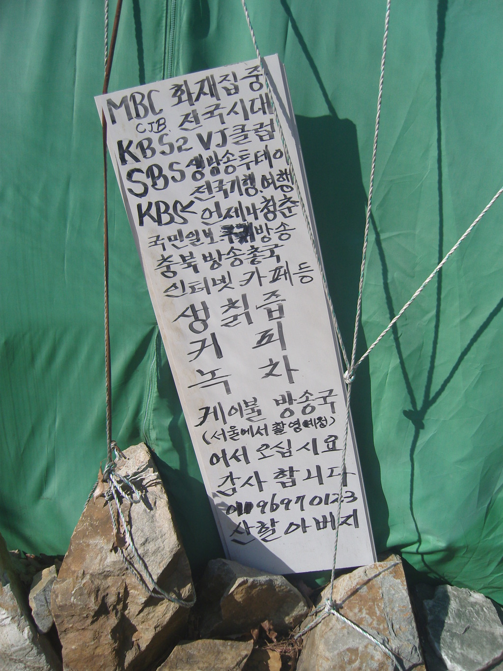 괴목 이미지