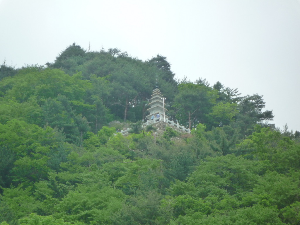 야생화숲 이미지